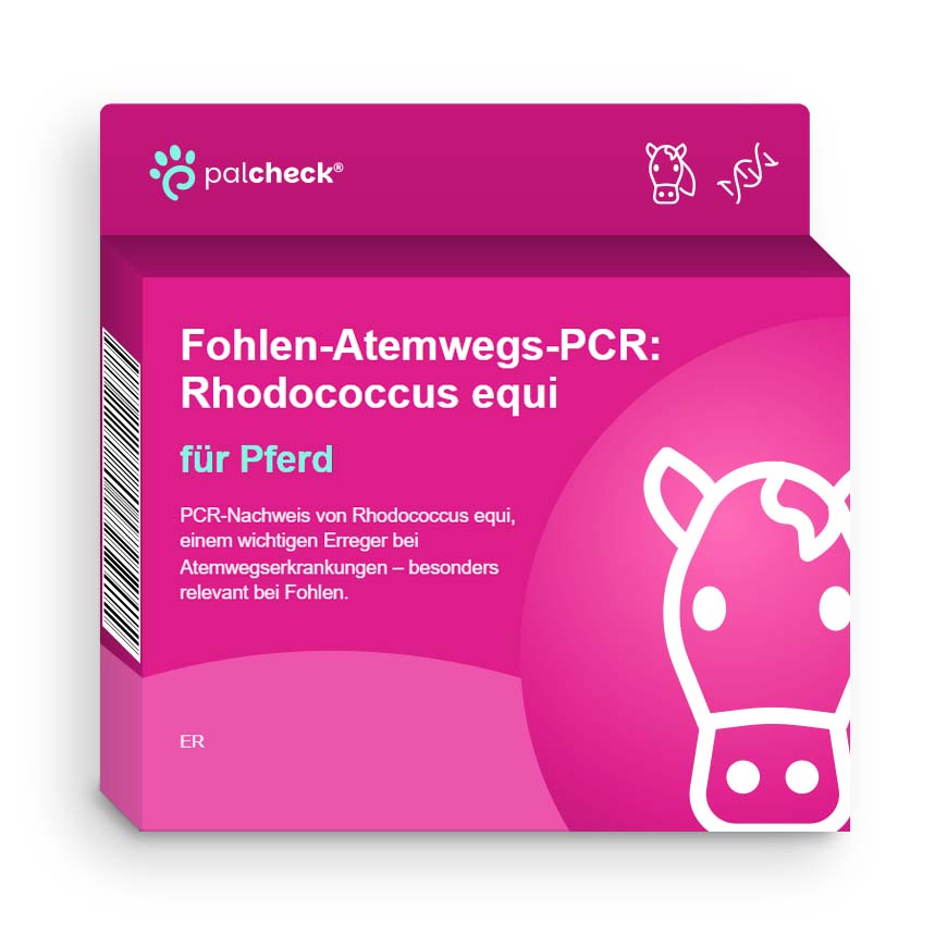 Automatisch generierte Produktverpackung im WooCommerce-Webshop: Fohlen-Atemwegs-PCR für Pferd