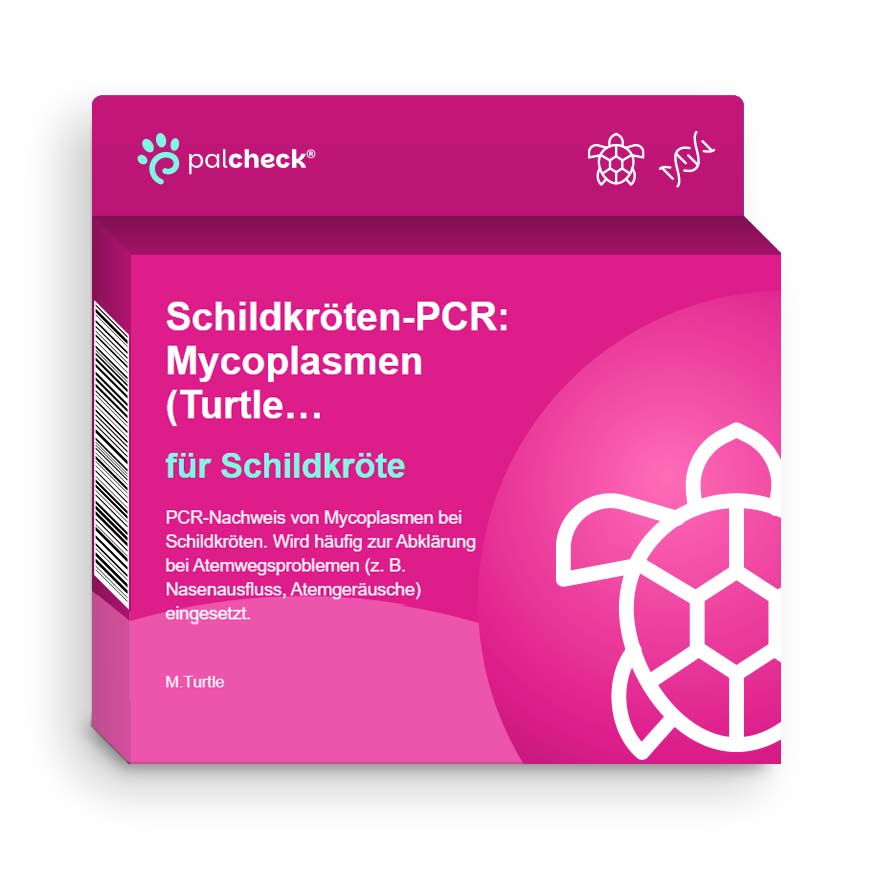 Automatisch generierte Produktverpackung im WooCommerce-Webshop: Schildkröten-PCR für Schildkröte